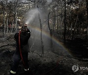 GREECE WILDFIRES