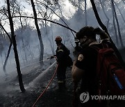 GREECE WILDFIRES