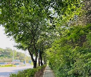김포시, 다양한 도시숲 조성 시민 녹지공간 마련 분주