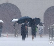 [오늘의 날씨] 강원(4일, 목)…영서·산간 최대 80㎜ 비, 낮 최고 31도