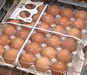 지난달 계란·식용유 등 '7대 생필품' 가격 줄인상