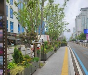 부산시, BRT 정류소에 ‘정원형 도시숲’ 조성 시범사업 시행