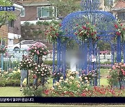 ‘장미공원’이 인구감소 대책?…실효성 논란