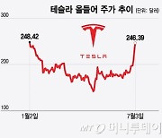 2년7개월 하락한 테슬라, 상승세로 돌아섰나…226달러 유지가 중요
