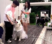 결혼·출산 않는 중국인…반려동물 결혼식은 증가 추세