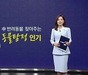 "반려견 찾아주면 1,280만 원 드려요" [앵커리포트]