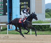 [경마]  스피드영, 1600m 신기록으로 제17회 오너스컵 정상 등극