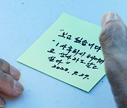 이산가족 4차 실태조사에 남북협력기금 8억여 원 지원