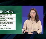 "14억 인구를 고객으로"…사상최고 인도증시 수혜주는 [엔터프라이스]