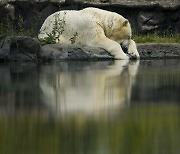 이 주의 지구촌 갤러리 (Pictures of the Week Global Photo Gallery)[오늘, 지구촌]