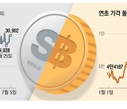 AI發 수혜 기대감…金보다 더 뛴 銀