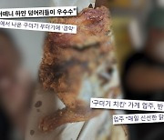 “치킨서 구더기 나와” vs “가짜손님 위장해 조작” 논란의 진실은(궁금한Y)