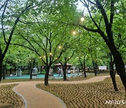 김해 도심 거북공원, 맨발산책로·경관조명 설치