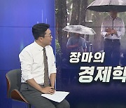 [경제쏙쏙] "빗물이 돈"…'불청객' 장마의 경제적 가치는