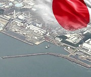 "후쿠시마 인근 산나물 3%서 '방사성 물질' 세슘 기준치 초과"