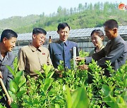 북한, 산림 부문에 '과학기술' 접목 당부…"산림과학기술 활용능력 제고"