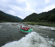 주말 인제서 래프팅 즐기는 관광객들