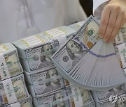 ETF 수익률 계속 오르는데...개미들 '달러 하락'에 베팅