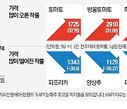 여름 농작물 가격, 고온·장마에 고공행진