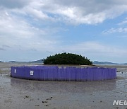 신안군 퍼플섬 낙지목장도 보라색