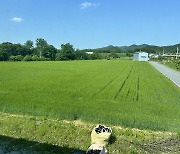 '분노의 맥주'라는 국산 맥주... 정말 이걸로 만들었다고? [윤한샘의 맥주실록]