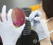 전북 남원 24개 학교서 식중독 의심환자 1천명 넘어