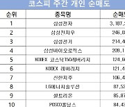 코스피 주간 개인 순매도 1위 '삼성전자'