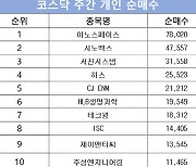 코스닥 주간 개인 순매수 1위 '이노스페이스'