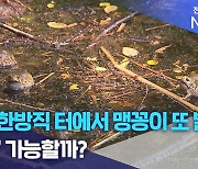 옛 대한방직 터에서 맹꽁이 또 발견..'공존' 가능할까?