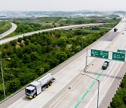 도로에 분홍·초록색 선 개발자... “국회의원 100명보다 낫다”