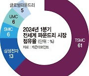 구글 5세대 AP칩 낚아챈 TSMC… 3나노 수율 사활 건 삼성