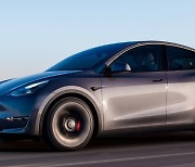 Tesla's Model Y tops import car sales in H1