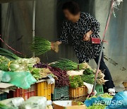 장마로 채소류 가격 상승