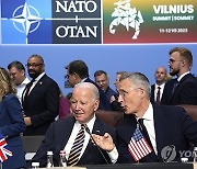 NATO Summit Explainer