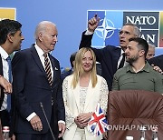 NATO Summit Explainer