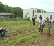 순창군, 고령영세농 농작업대행비 최대 57만원 지원