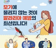 '말라리아 선제 대응' 경기 광주시, 병원·군부대에 신속진단키트 배부