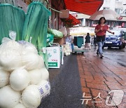 장마철만 되면 '껑충'… 야속한 채솟값