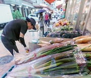 채소 가격, 장마철 '들썩'