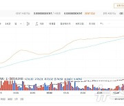 거래소 상대 가처분 '인용'…센트코인 700%대 급등[특징코인]