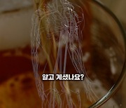 일주일에 두 잔 마시면 수명 ○일 단축된다고? [숏폼]