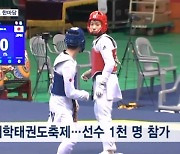 발차기로 다진 우정…대구 2024 세계대학태권도 축제