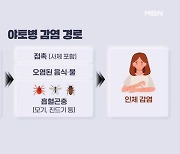 소 생간 먹고 복통·발열…치명률 60% '야토병' 의심 환자 발생