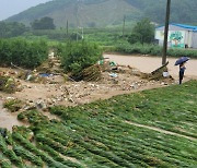 충청·경북권 호우 특보, 중대본 1단계 가동… 침수·산사태 위험