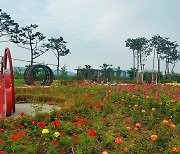 세종시민 가장 사랑하는 공원은 대평동 '숲바람 장미원'