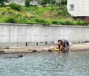 거제 해상서 제트스키 타던 50대 익사