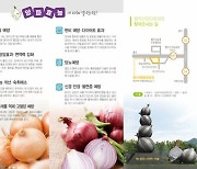 "맛 좋고 저장성 탁월" 12~14일 월악산 송계양파축제