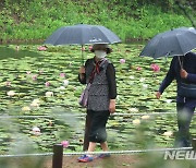 수련 감상하는 시민들