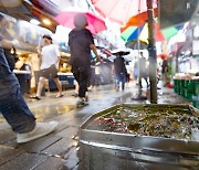 장맛비 내리는 서울