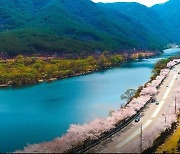 산림청 "모범 도시숲으로 인증 받으세요"